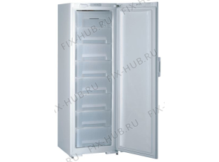 Холодильник Gorenje F61300W (144129, ZOS3167C) - Фото